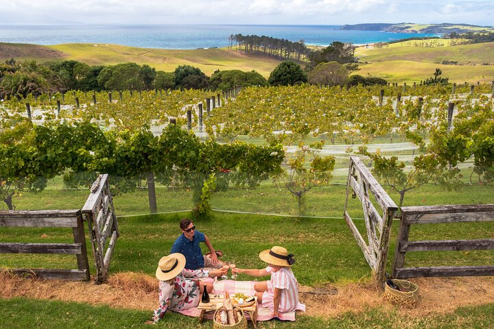 Gourmet Mystery Picnic Experience in Matakana - Photo 1 of 5